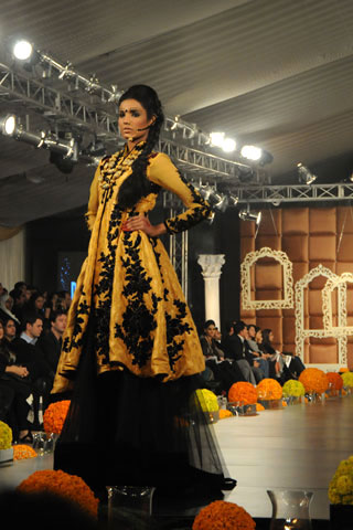 Naples Yellow black Chesa
