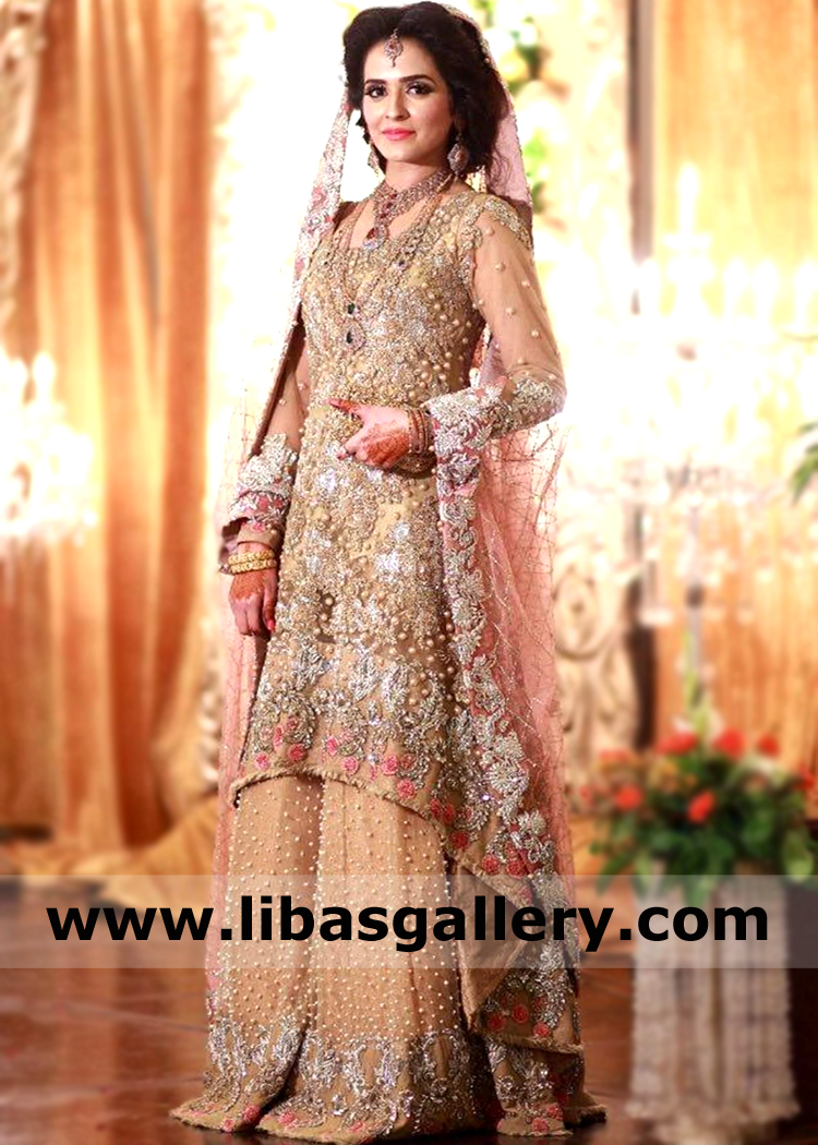 Apricot Liatris Wedding Sharara