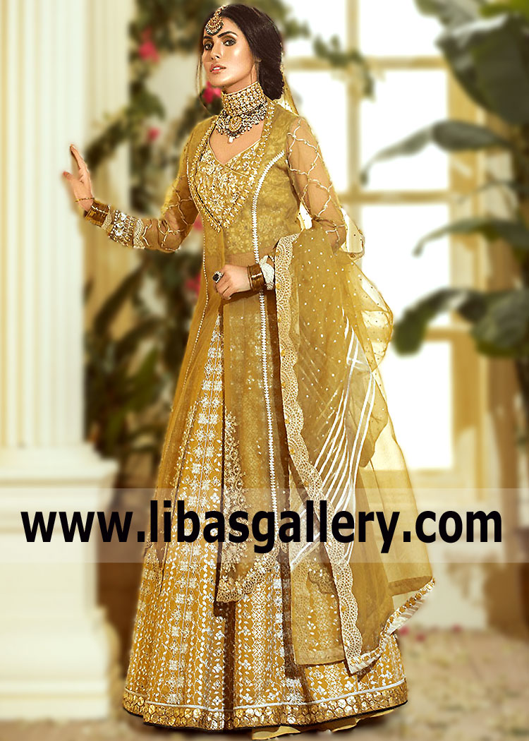 Brass Drina Embroidered Lehenga Dress