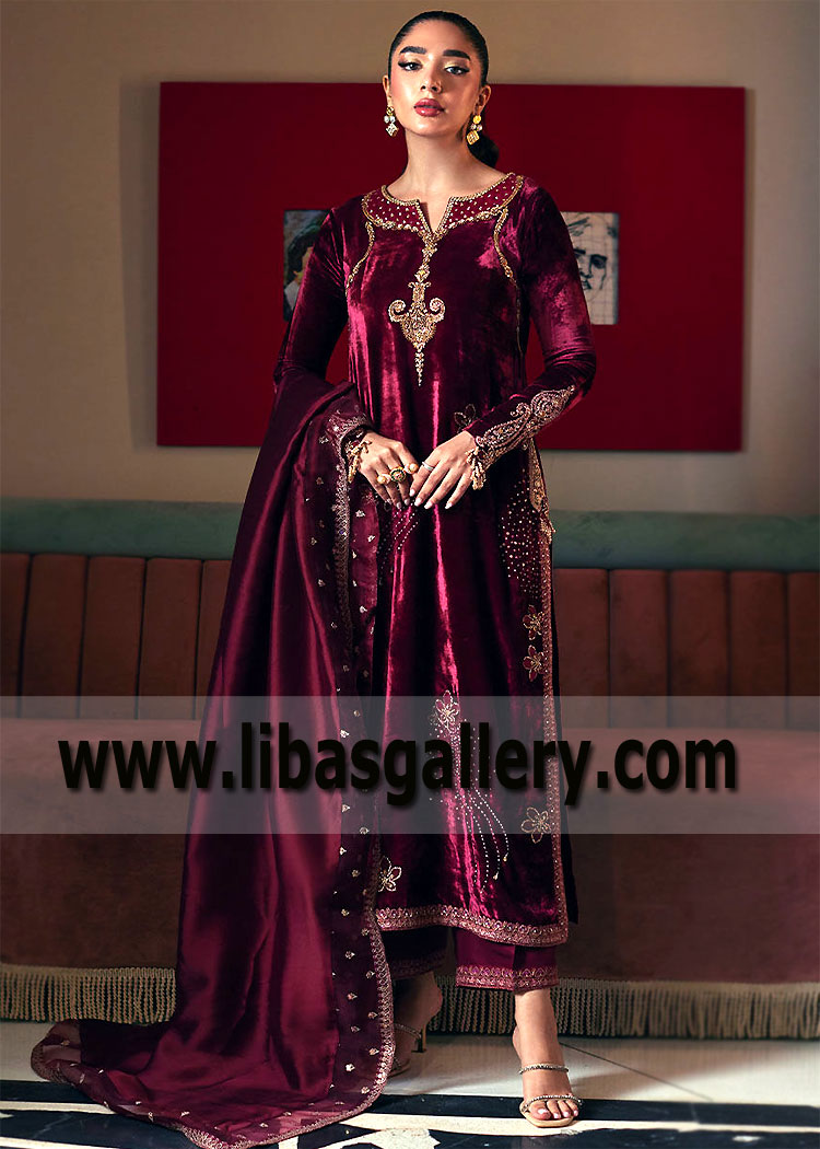 Dark burgundy Brienz Party Wear Dress