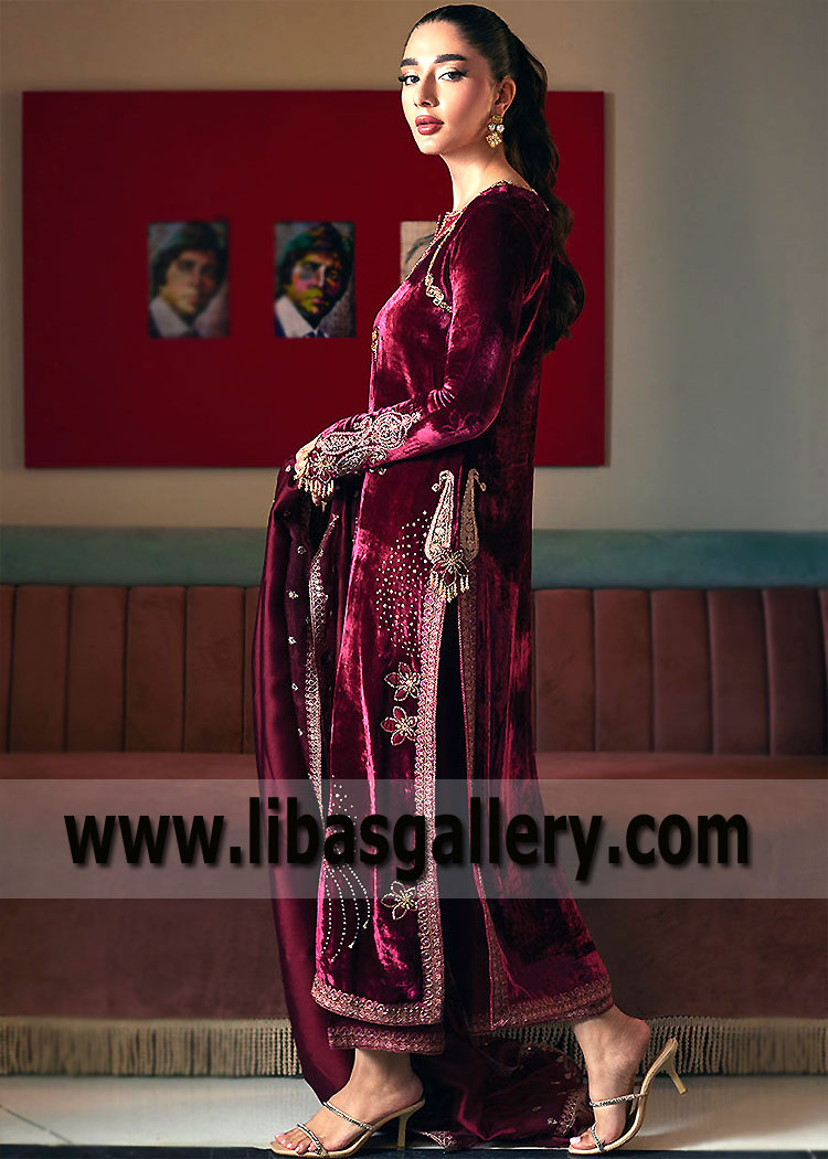 Dark burgundy Brienz Party Wear Dress