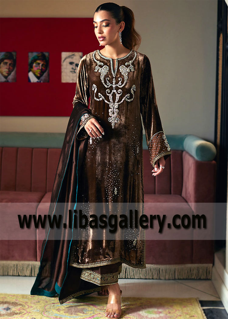 Seal Brown Hague Party Wear Velvet Dress