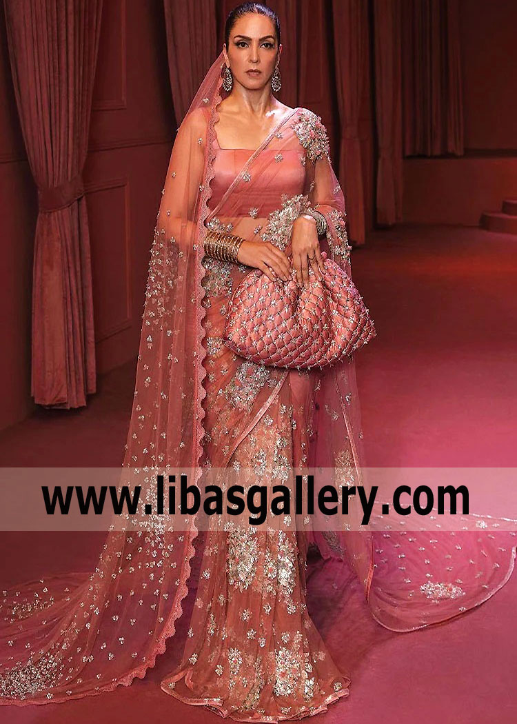 Pastel Red Aster Bridal Saree With The Stunning Embellished Veil