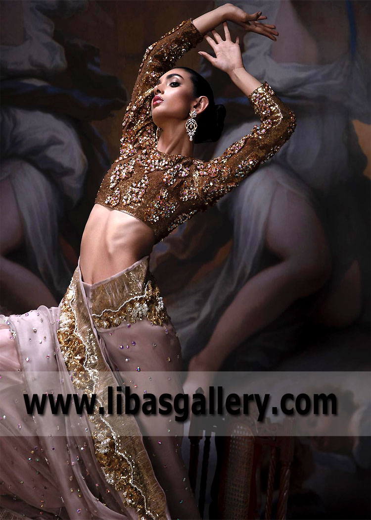 Rosy Brown Clover Saree Dress for Social Events