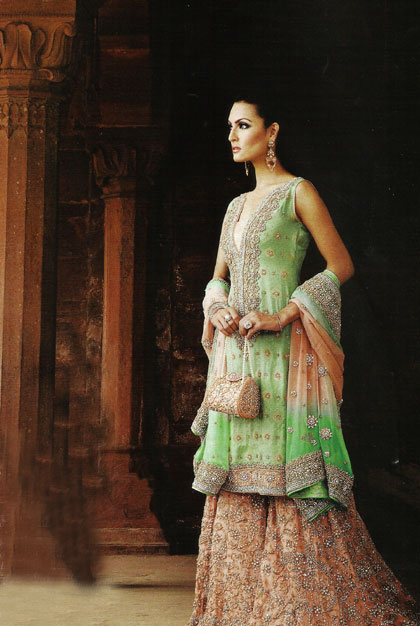 Asparagus Tangerine Aviva