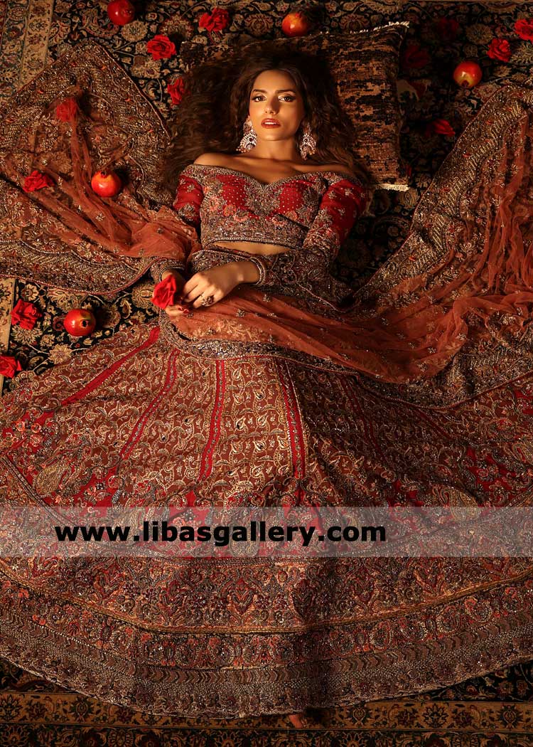 Bridal Red paneled Lehenga Choli ornate Dupatta Borders