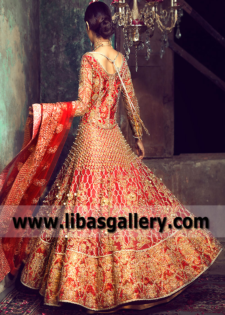 Lust Painite Overlay Gown and Lehenga